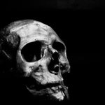 Bone Conduction - Grayscale Photography of Human Skull